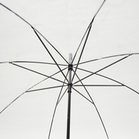 �����������������C���[�W